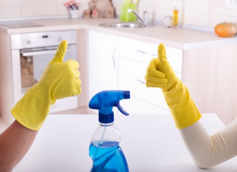 Carpet cleaning team preparing equipment for a booked service