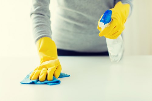 Carpet cleaning professional working carefully in a home