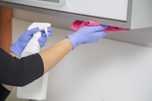 Removing stubborn pet stains and smells from a Sidcup household